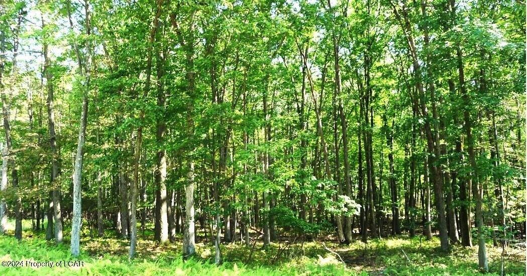 JAE Lot049 Kickapoo Drive, Hazle Twp, Pennsylvania 18202, Stati Uniti