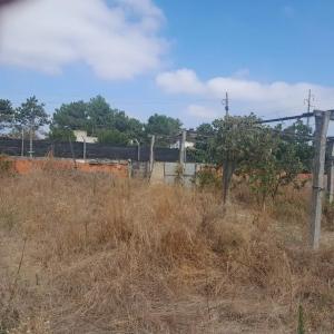 Leiria, Leiria 2950-758, Portugal