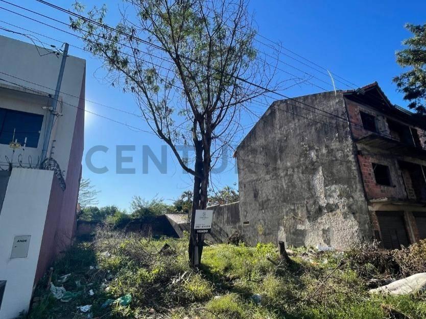 Francisco Bogarin entre Juana Maria de Lara y los laureles , Fernando De La Mora, Central 00001, Paraguai