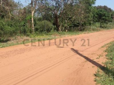 Barrio Pindolo , Areguá, Central 00001, Paraguay