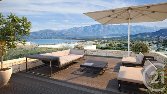 Calvi, Corse 20260, France