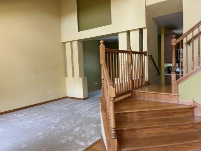 21424 English Drive, Frankfort, Illinois 60423