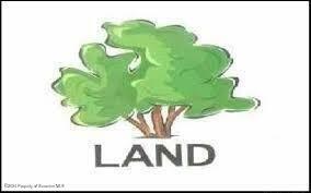 Bear Drive, Gouldsboro, Pennsylvanie 18424, États-Unis