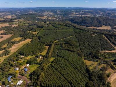 Dunoon, NSW 2480, Australia