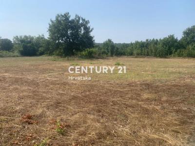 Višnjan, Radoši kod Višnjana, Višnjan, Istarska Županija 52463, Croacia