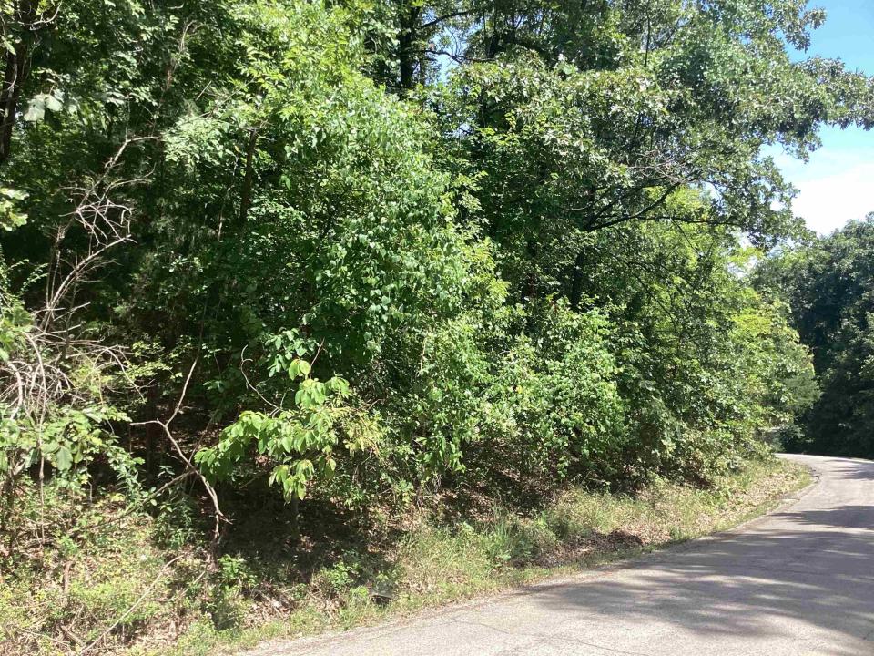 Frontier Dr, Ozark Acres, Arkansas 72482