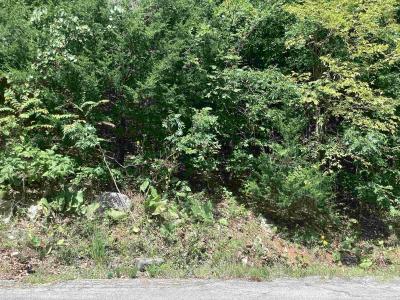 Frontier Dr, Ozark Acres, Arkansas 72482