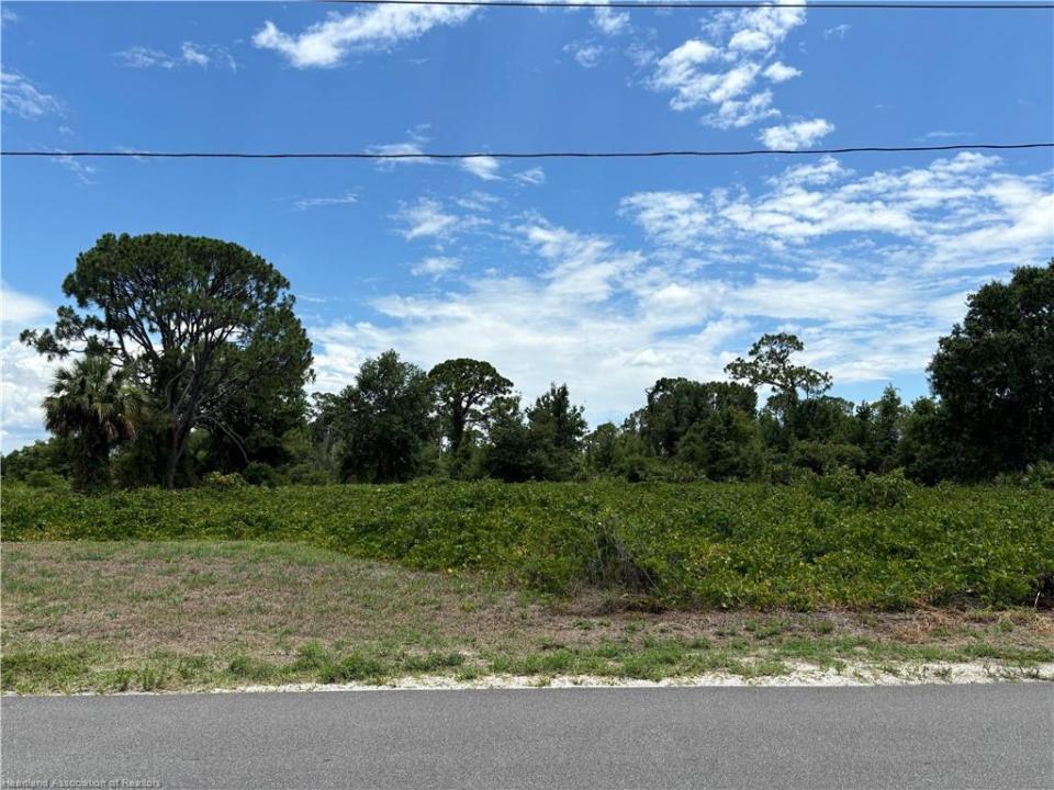 311 Lake Groves Road NE, Lake Placid, פלורידה 33852, ארצות הברית של אמריקה 