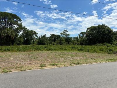 311 Lake Groves Road NE, Lake Placid, פלורידה 33852, ארצות הברית של אמריקה 