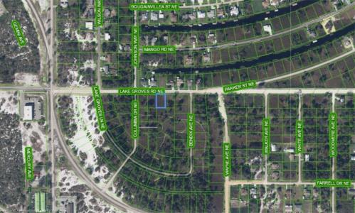 311 Lake Groves Road NE, Lake Placid, פלורידה 33852, ארצות הברית של אמריקה 
