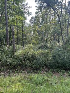 5827 Holly Street, Mays Landing, NJ 08330, USA