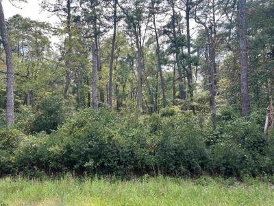 5827 Holly Street, Mays Landing, 新泽西州 08330, 美国