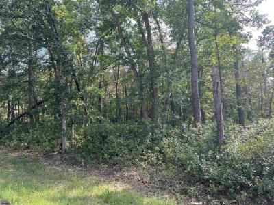 5827 Holly Street, Mays Landing, 新泽西州 08330, 美国