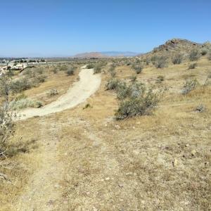 Clark Street, Rosamond, Kaliforniya 93560, Amerika Birleşik Devletleri