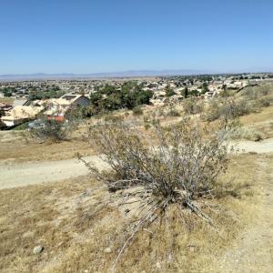 Clark Street, Rosamond, Kaliforniya 93560, Amerika Birleşik Devletleri
