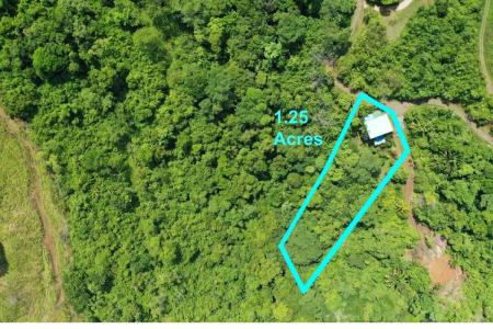 San Antonio , Parrita Parrita, Puntarenas 60901, Costa Rica