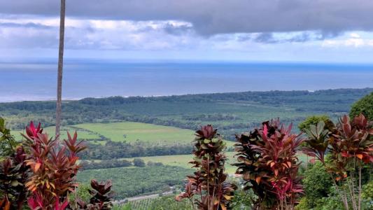 portalon , Portalon Quepos Quepos, Puntarenas 00001, Costa Rica