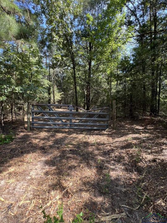 0001 CR 1628 Tract 1, Linden, Texas 75563, États-Unis