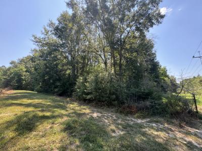 Hawks Rd, Leesville, Louisiana 71446, Stati Uniti