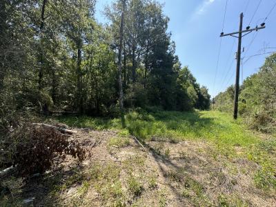 Hawks Rd, Leesville, Louisiana 71446, Stati Uniti