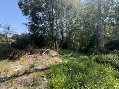 Hawks Rd, Leesville, Louisiana 71446, Stati Uniti