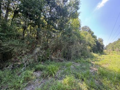 Hawks Rd, Leesville, Louisiana 71446, Stati Uniti