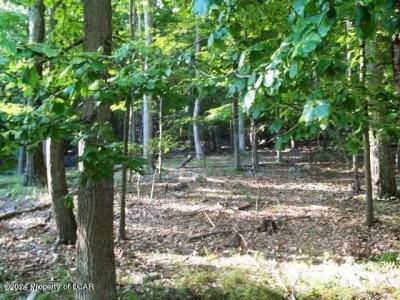 CN Lot 005 Iroquois Circle, Hazleton, Pennsylvania 18202, Stati Uniti