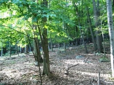 CN Lot 005 Iroquois Circle, Hazleton, Pennsylvania 18202, Stati Uniti