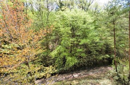 針町, 奈良市, Nara 632-0251, Giappone