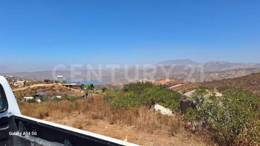 Rancho San Francisco, Manzana S/M Colonia de esta jurisdicción S/N,, Tecate, Basse-Californie 21517, Mexique