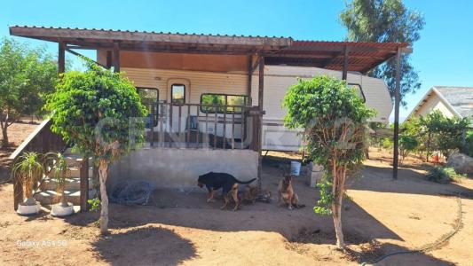 Rancho San Francisco, Manzana S/M Colonia de esta jurisdicción S/N,, Tecate, Basse-Californie 21517, Mexique