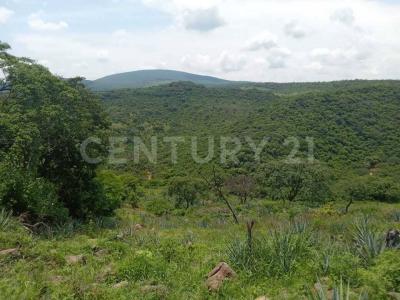 Jesús Maria, Jalisco 47950, Mexico