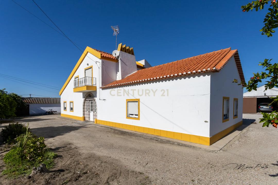 Montijo, Setubal 2985-157, Portugal