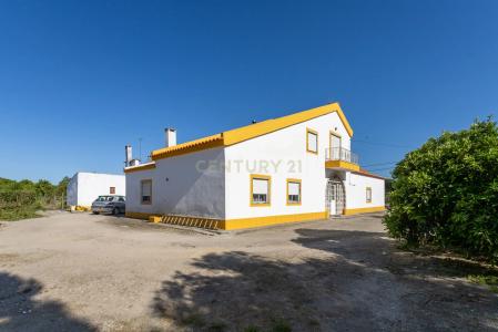 Montijo, Setubal 2985-157, Portugal