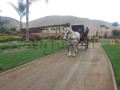 Cañete, Lima 00001, 秘鲁
