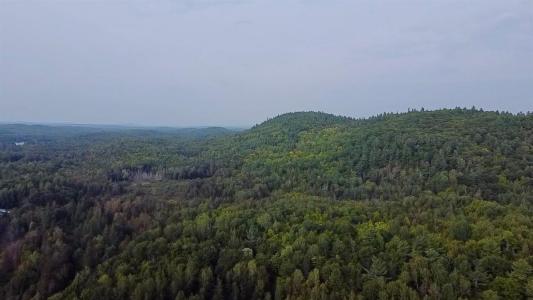 Ch. Harrisson, Alleyn-et-Cawood, Quebec J0X 1P0, Kanada
