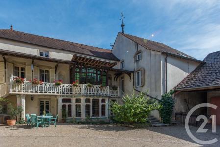 Savigny Les Beaune, Bourgogne 21420, France