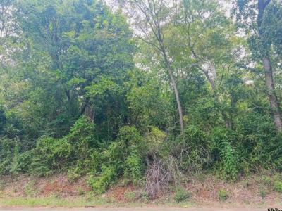 TBD Martin Luther King Jr Blvd, Jacksonville, Texas 75766, Estados Unidos