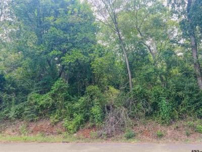 TBD Martin Luther King Jr Blvd, Jacksonville, Texas 75766, Estados Unidos