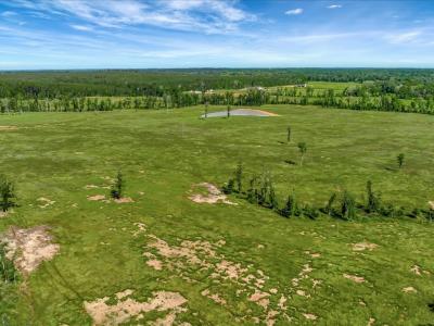 3103 Cheeseland Road, Pollok, Texas 75969, USA