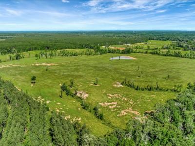 3103 Cheeseland Road, Pollok, Texas 75969, USA