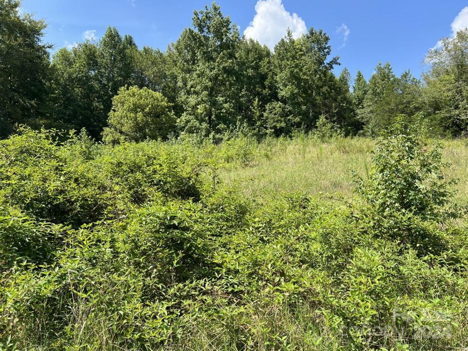 00 Hastings Drive, Albemarle, ノースカロライナ 28001, アメリカ合衆国