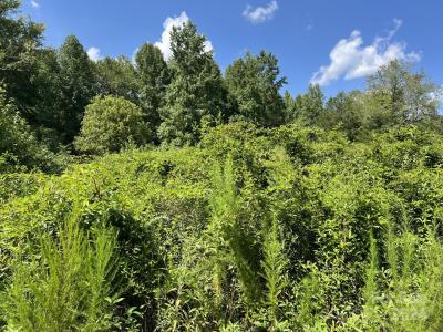 00 Hastings Drive, Albemarle, ノースカロライナ 28001, アメリカ合衆国