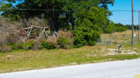 6191 Lockhart Rd, Brooksville, פלורידה 34602, ארצות הברית של אמריקה