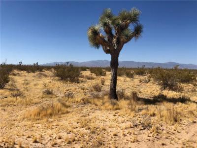 0 Holly Road, Adelanto, California 92301, Estados Unidos