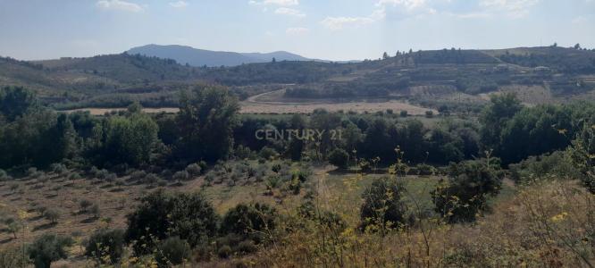 Mirandela, Bragança 5370-070, Portugal