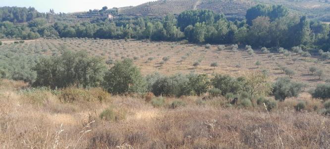 Mirandela, ブラガンサ 5370-070, ポルトガル