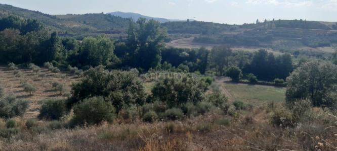 Mirandela, ブラガンサ 5370-070, ポルトガル