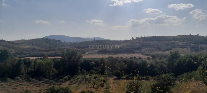 Mirandela, ブラガンサ 5370-070, ポルトガル