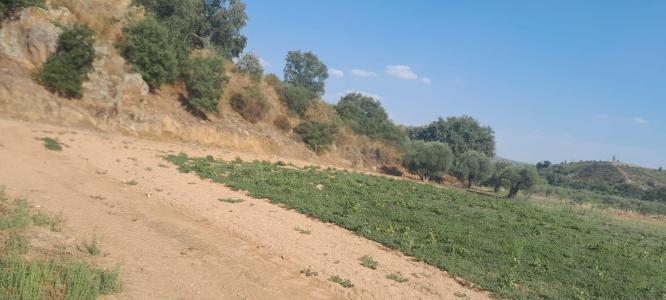 Mirandela, ブラガンサ 5370-070, ポルトガル